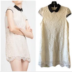 Zara Lace Dress